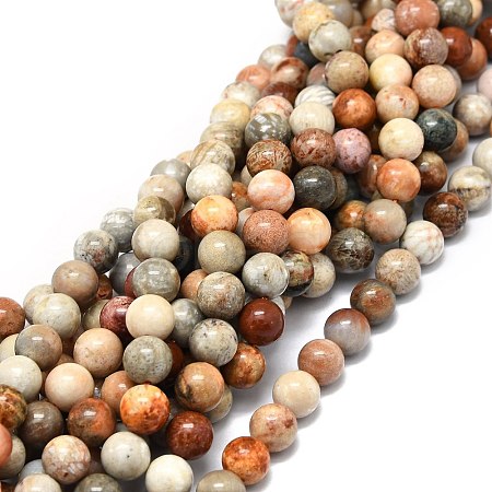 Natural Fossil Coral Beads Strands G-E576-03B-1