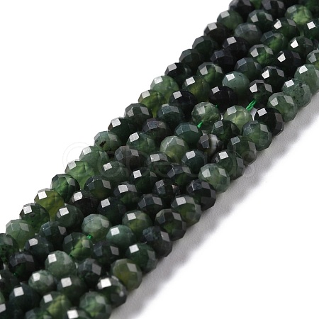 Natural Canada Jade Beads Strands G-K312-10B-1