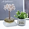 Natural Quartz Crystal Sculpture Display Decorations, for Home Office Desk, Tree, 40~80x90~120mm