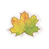 Autumn Leaf Scrapbooking Tool Kits DIY-P084-D02-3