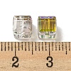 Electroplate Glass Beads EGLA-Z004-04B-06-3
