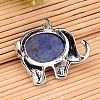 Natural Lapis Lazuli Pendants G-F265-02C-2