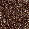 TOHO Round Seed Beads SEED-JPTR11-1853-2