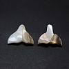 Natural Shell Beads SSHEL-G020-02-2