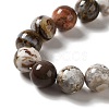Natural Mexican Agate Beads Strands G-E578-02C-3