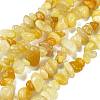 Natural Topaz Jade Chip Beads Strands G-M205-16A-1