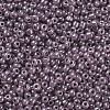 Glass Seed Beads SEED-A011-3mm-148-2