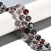 Natural African Bloodstone Beads Strands G-N342-12-2