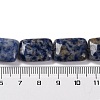 Natural Blue Spot Jasper Beads Strands G-T047-B10-01-5