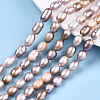 Natural Cultured Freshwater Pearl Beads Strands PEAR-S017-009-2