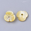 Yellow Shell Beads SSHEL-S251-39-2