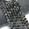 Natural Snowflake Obsidian Beads Strands G-K389-E86-01-2