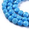 Natural Howlite Beads Strands TURQ-F017-03C-01-3
