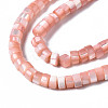 Natural Trochus Shell Beads Strands SHEL-S278-027H-3