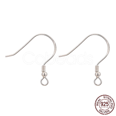 925 Sterling Silver Earring Hooks STER-K167-053A-S-1