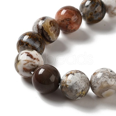 Natural Mexican Lace Agate Beads Strands G-E578-02C-1