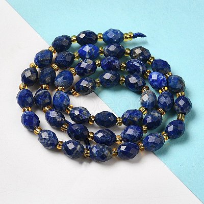 Natural Lapis Lazuli Beads Strands G-H297-C02-01-1