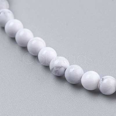 Natural Howlite Beads Strands TURQ-G091-4mm-1