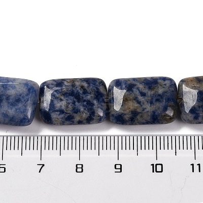 Natural Blue Spot Jasper Beads Strands G-T047-B10-01-1