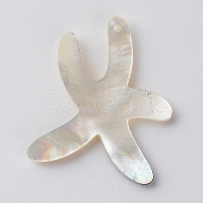 Sea Shell Pendants SSHEL-Q297-56-1