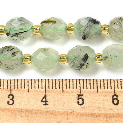 Natural Prehnite Beads Strands G-N342-43-1