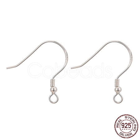 925 Sterling Silver Earring Hooks STER-K167-053A-S-1