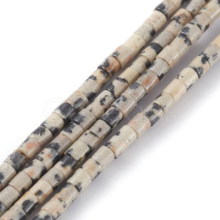 Natural Dalmatian Jasper Beads Strands G-H255-10-1