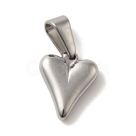 304 Stainless Steel Charms STAS-B053-12P-1