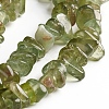 Natural Green Apatite Chips Beads Strands G-D0002-A13-3