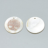 Freshwater Shell Pendants SHEL-Q016-020RG-3