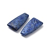 Natural Lapis Lazuli Pendants G-E596-01G-3