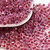 Glass Seed Beads SEED-A032-01F-1