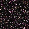 Spray Painted Glass Seed Beads SEED-F005-08A-02-3