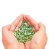 12/0 Glass Seed Beads SEED-X0050-2mm-03-5