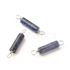 Natural Sodalite Connector Charms PALLOY-JF01574-01-1