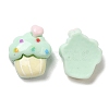 Opaque Resin Imitation Food Decoden Cabochons RESI-K027-13-3