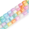 Rainbow Color Natural Selenite Beads Strands G-F750-M02-02-1