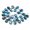 Natural Apatite Beads Strands G-Z040-A07-01-2