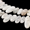 Natural Moonstone Beads Strands G-M408-D03-4