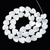 Natural Trochid Shell/Trochus Shell Beads Strands SSHEL-N034-99A-B01-2