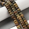 Natural Picasso Jasper Beads Strands G-Q161-B01-03-2