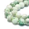 Natural Chrysocolla Beads Strands G-E576-04B-3