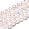 Natural Cultured Freshwater Pearl Beads Strands PEAR-N013-08G-01-3