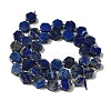 Natural Lapis Lazuli Beads Strands G-P534-A12-02-3