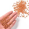 6/0 Round Glass Seed Beads SEED-US0003-4mm-169-4