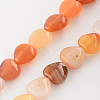Dyed Natural Red Agate Bead Strands X-G-R190-09-1