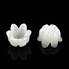 Natural White Shell Bead Caps SSHEL-N032-58A-3