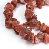 Natural Carnelian Beads Strands G-F703-01-2