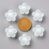 Transparent Acrylic Beads TACR-S152-09C-10-3