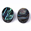 Natural Abalone Shell/Paua Shell Beads SSHEL-T014-09-2